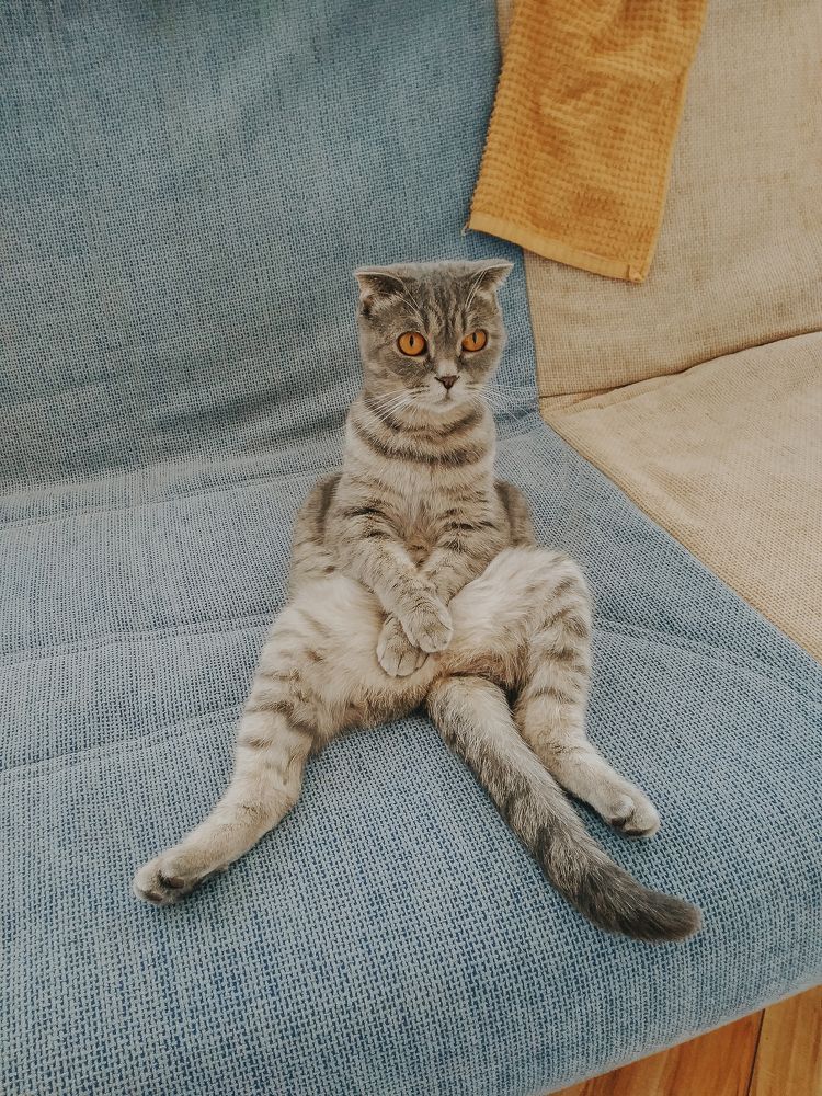 Photograph by Елена Тимошевская