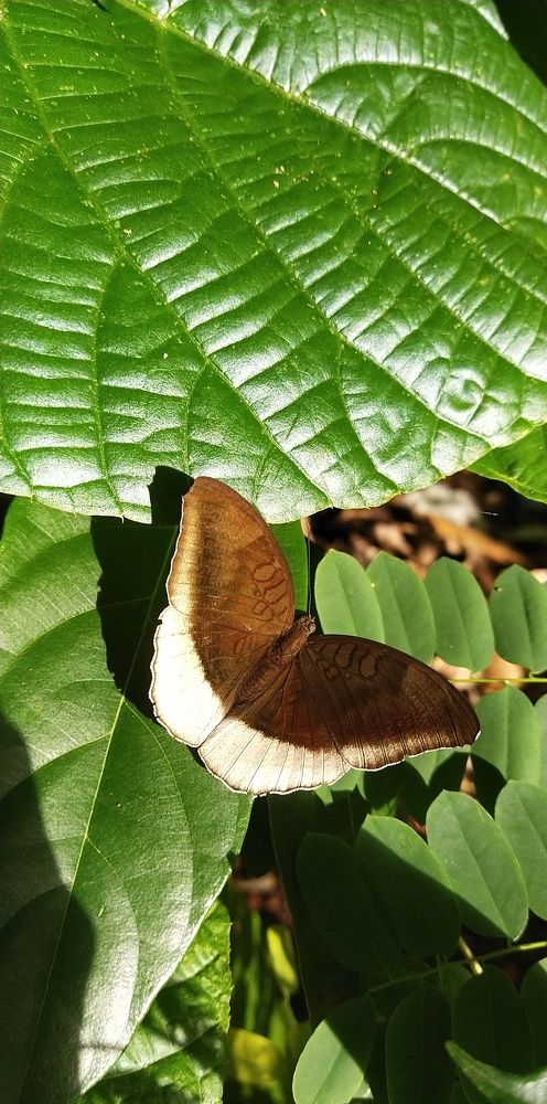 Photo #6209078