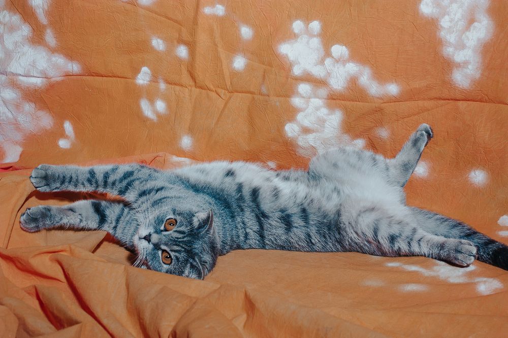 Photograph by Елена Тимошевская