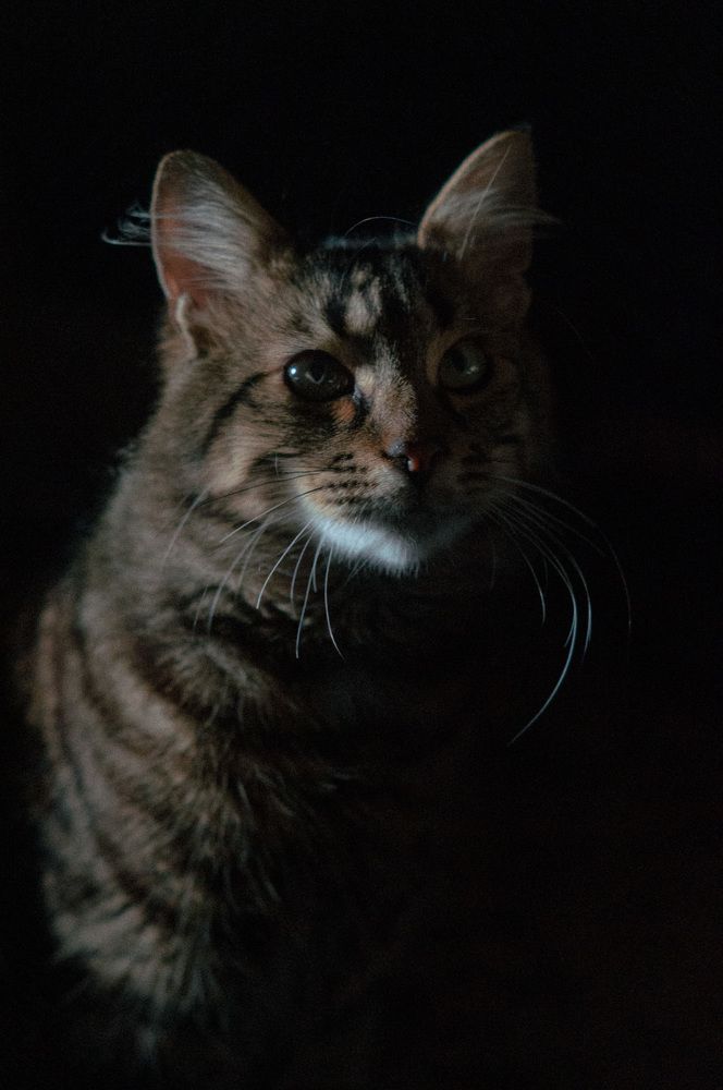 Photograph by Алексей Жибовский