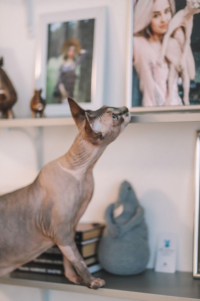 Photograph by Дарья Заводцова