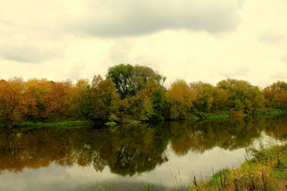 Photograph by Александр Быкадоров