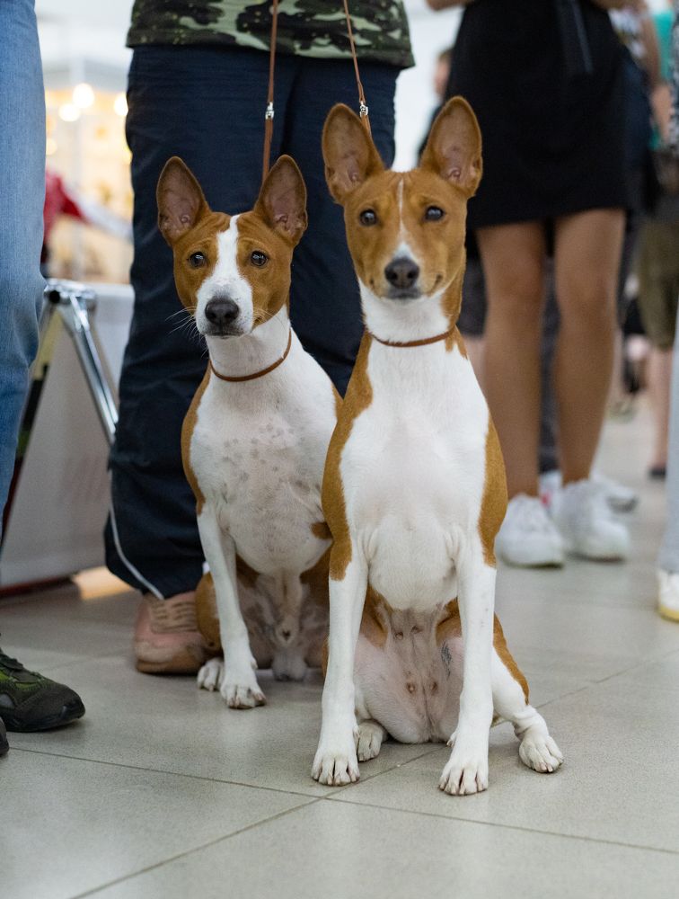 Photograph by Дина Колдомова