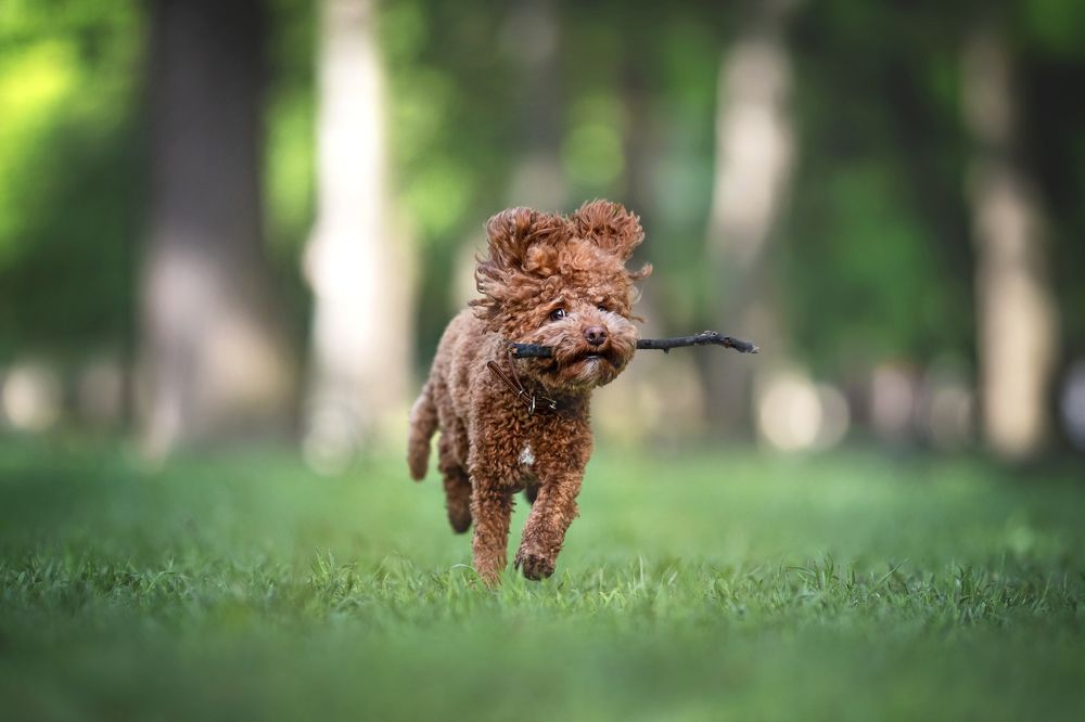 Photograph by Александра Вильчинская