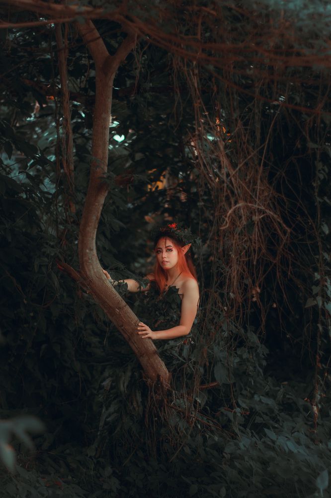 Photograph by Jay Vallente