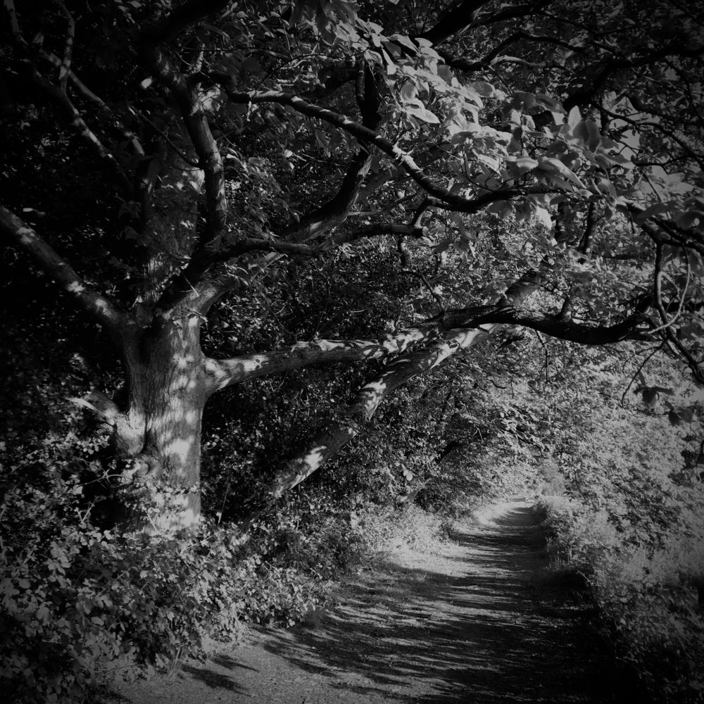 Photograph by Svjatoslavs Andrijevskis