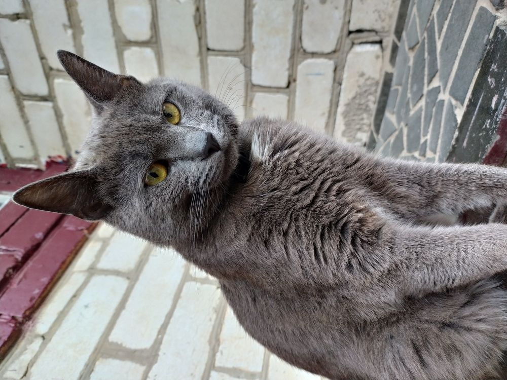 Photograph by Дарья Котенко