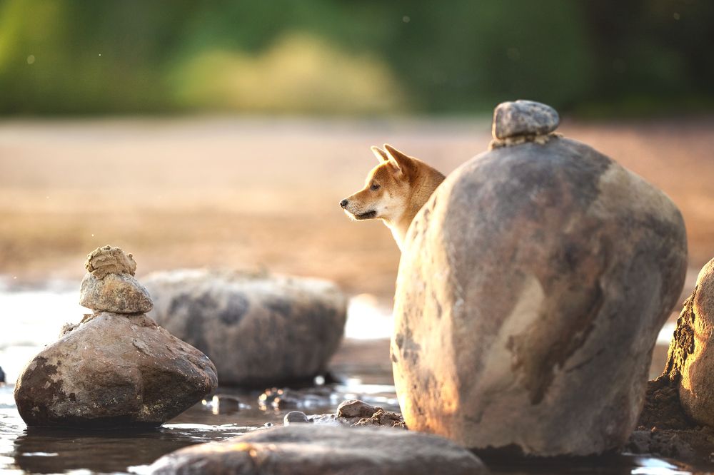 Photograph by Александра Вильчинская