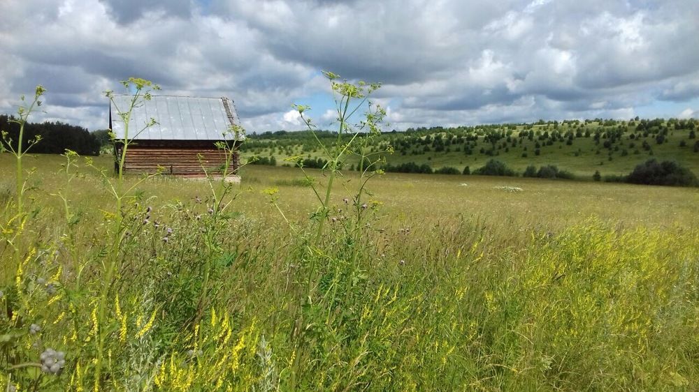 Photograph by Андрей Елькин