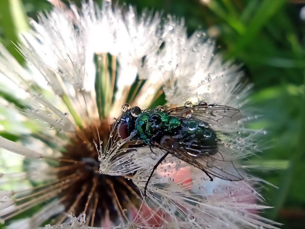 Фотография автора Татьяна Долгушева