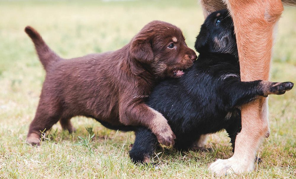 Photograph by Shivani Bhatia