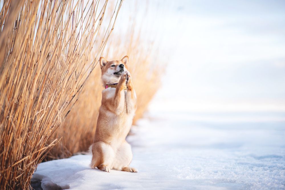 Photograph by Александра Вильчинская