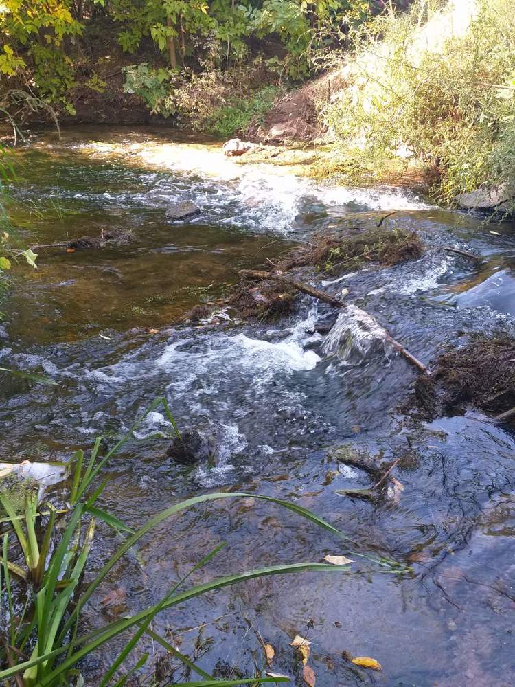 Photograph by Нина Романюк