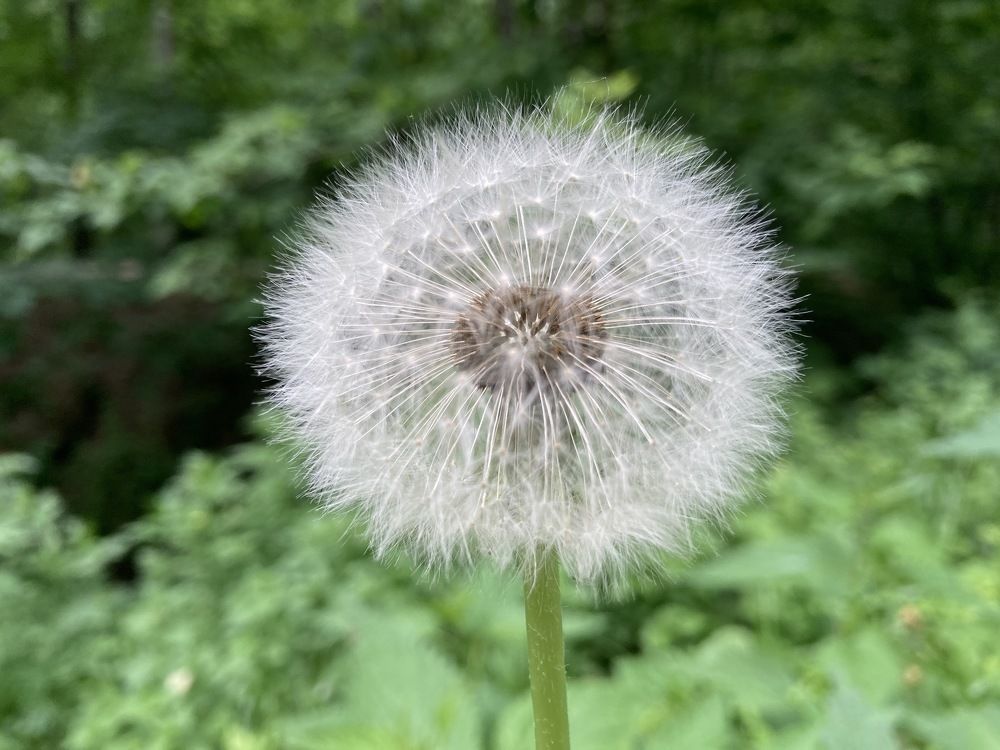 Photograph by Александр Феоктистов