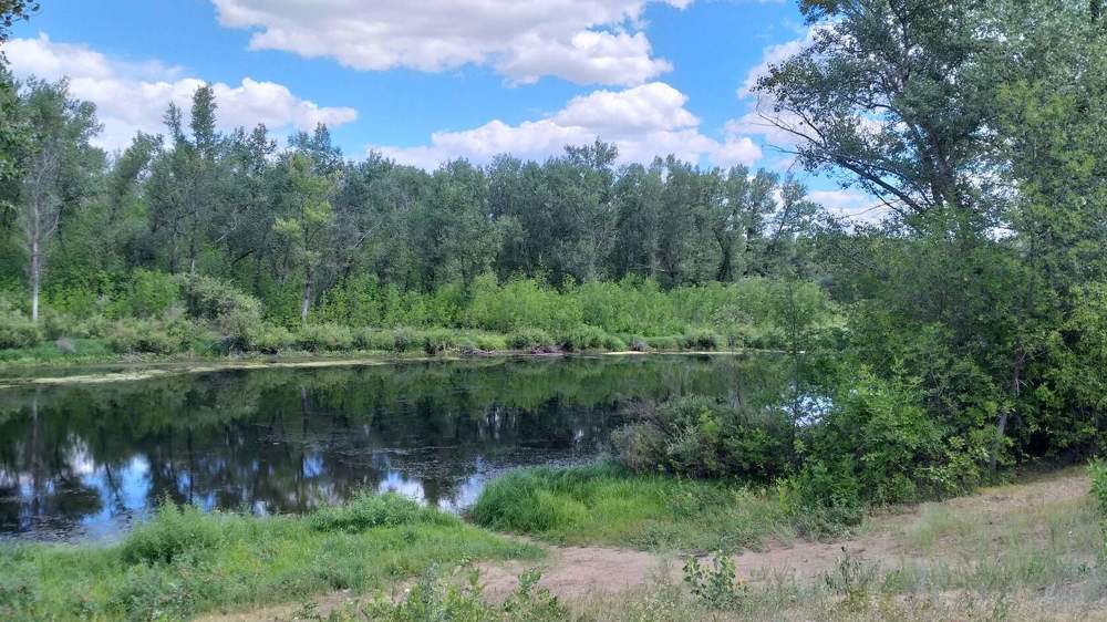 Photograph by Нина Романюк