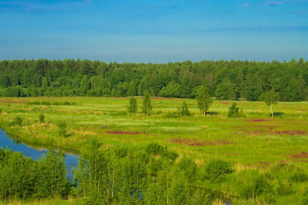 Photograph by Дмитрий Павлов