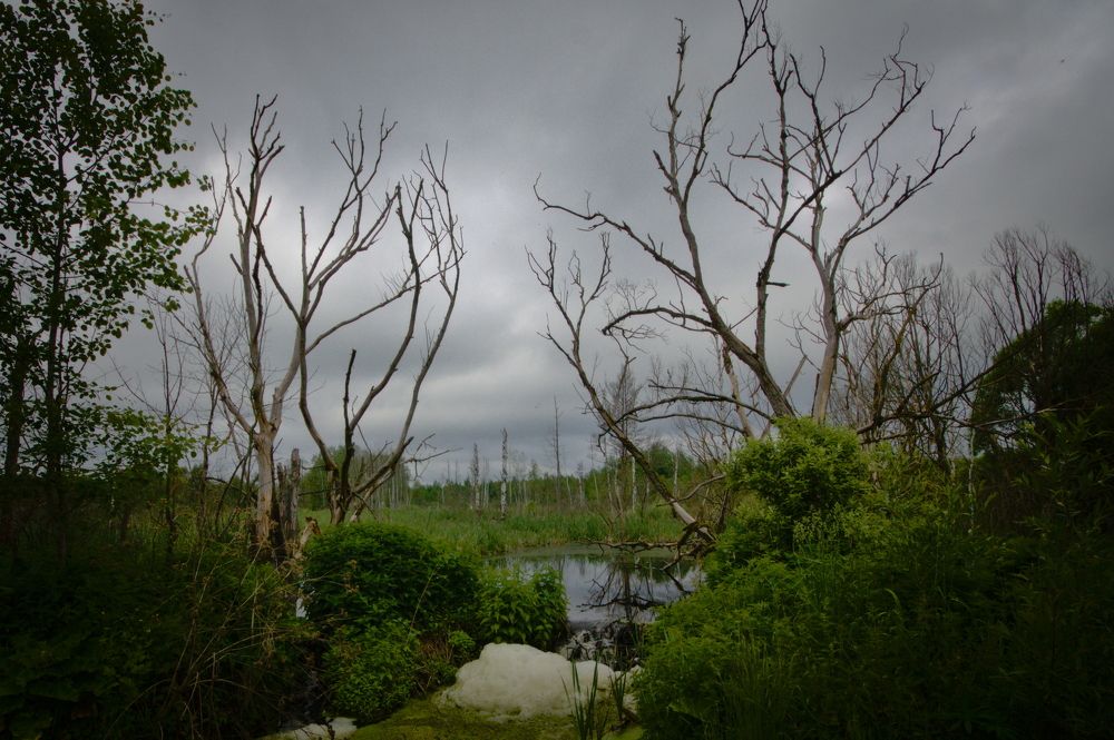 Photograph by Дмитрий Павлов