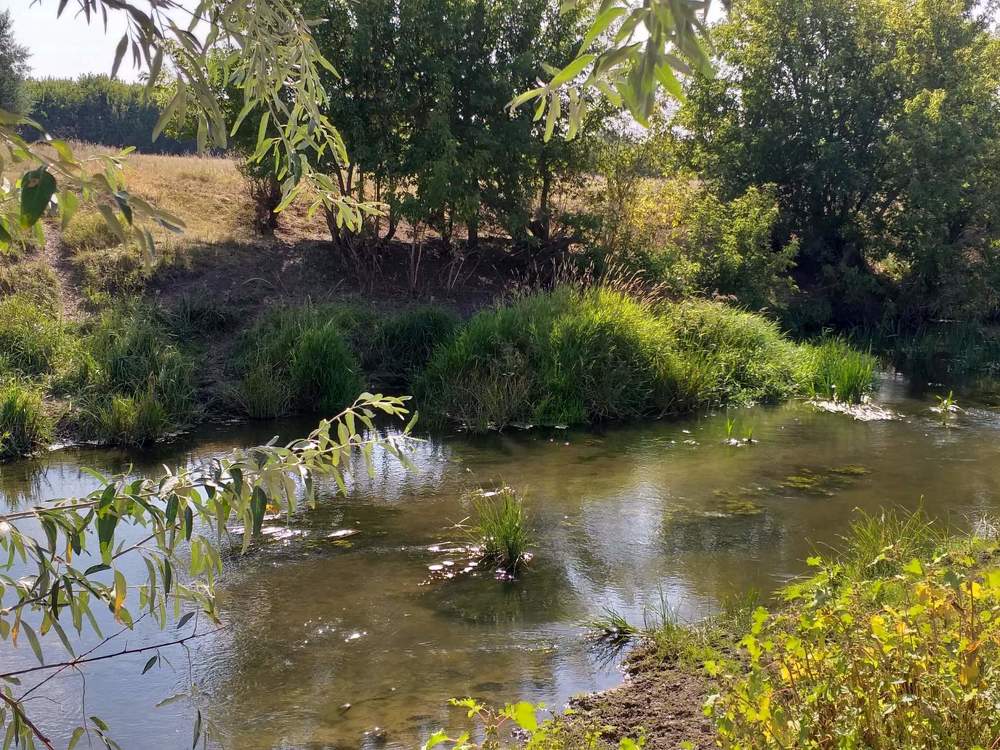 Photograph by Нина Романюк