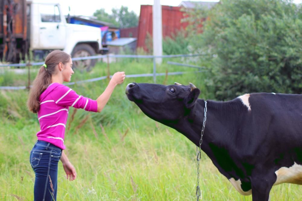 Photograph by Николай Леухин