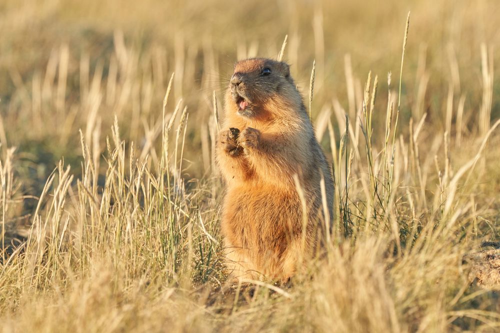 Photograph by Игорь Травкин