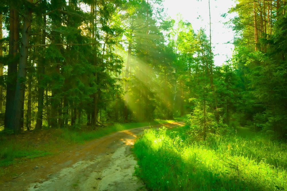 Photograph by Дмитрий Павлов