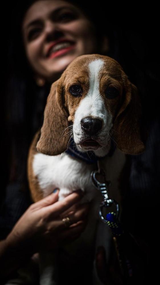 Фотография автора Sanjay Shukla