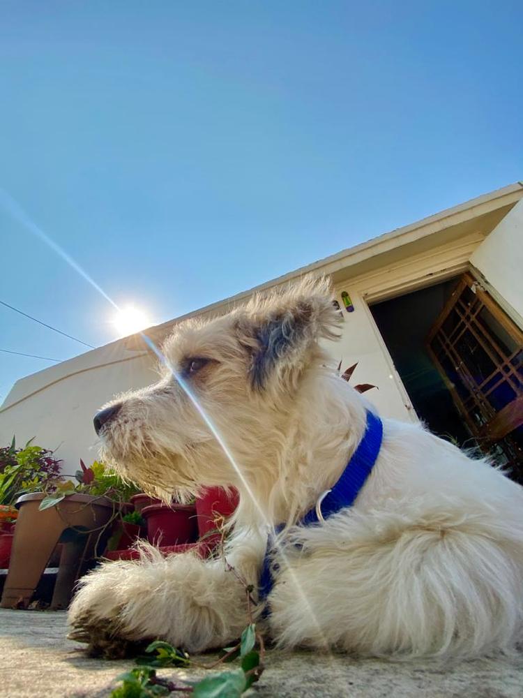 Фотография автора Sanjay Shukla