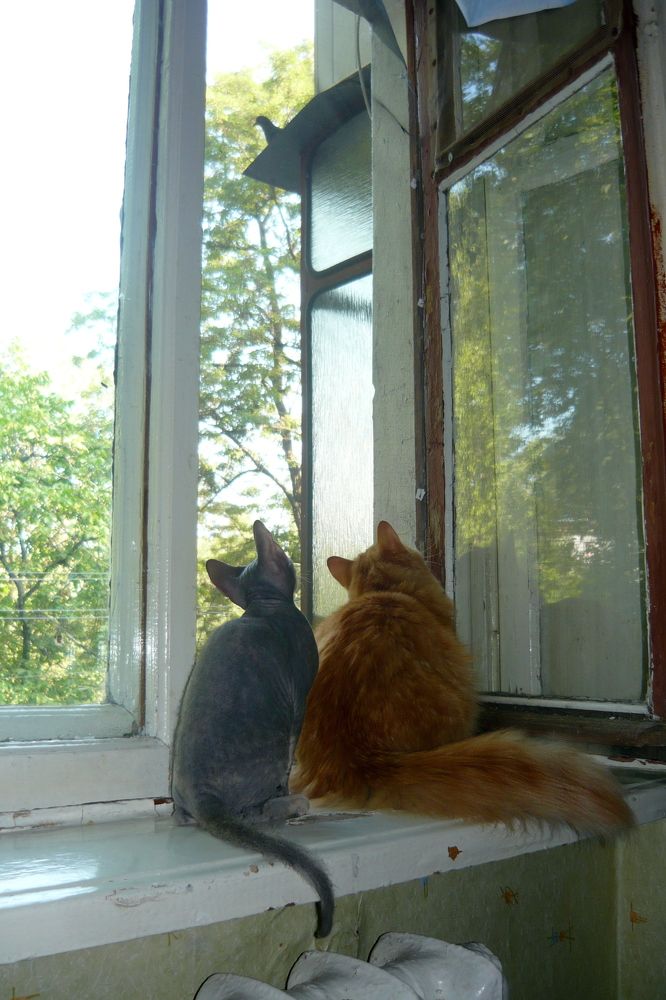 Photograph by Иван Скорик