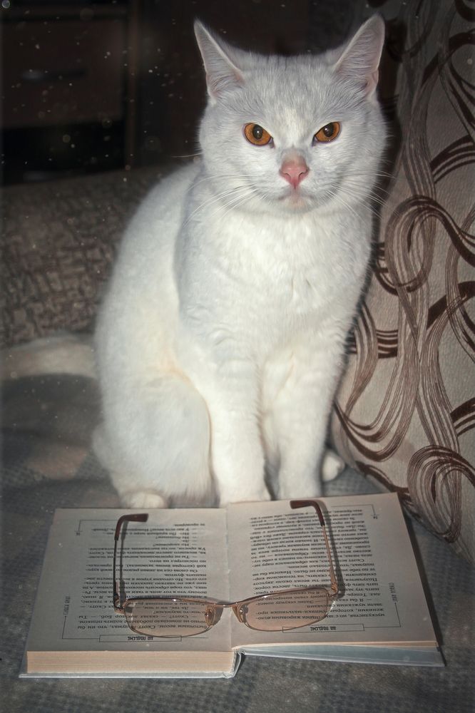 Photograph by Ольга Остапенко