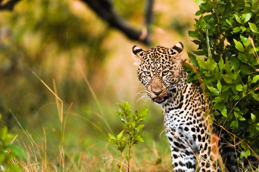 Photograph by Chithra PositivityandPassion