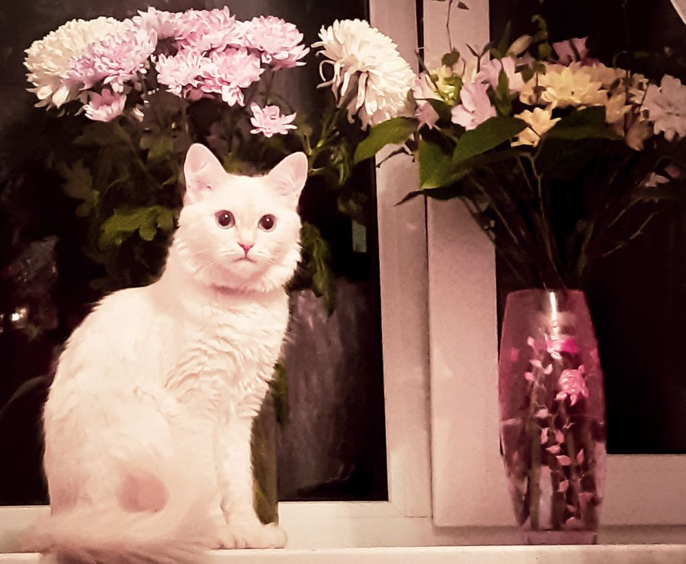 Photograph by Светлана Кудрявченко