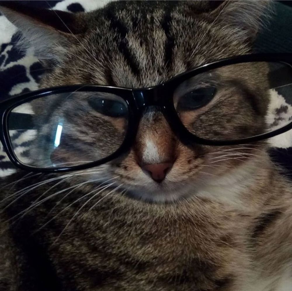 Photograph by Валентина Ильиных