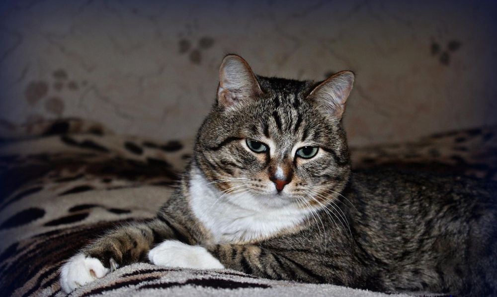 Photograph by Валентина Ильиных