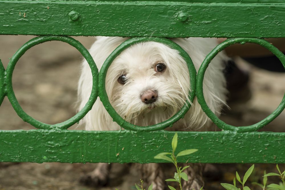 Photograph by Киреева Оксана