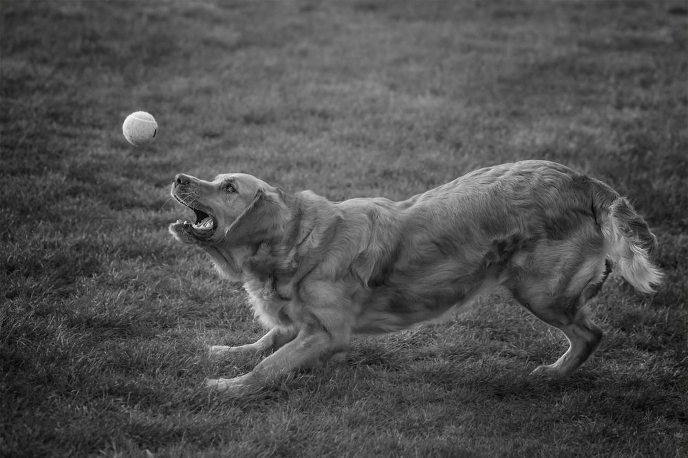 Фотография автора Natalja Bindere