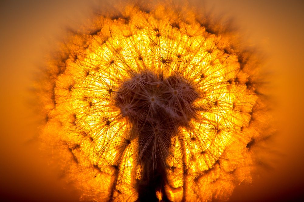 Photograph by Сигида Дмитрий