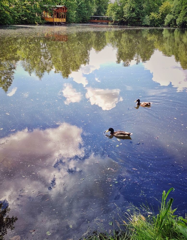 Photograph by Mihail Sidi