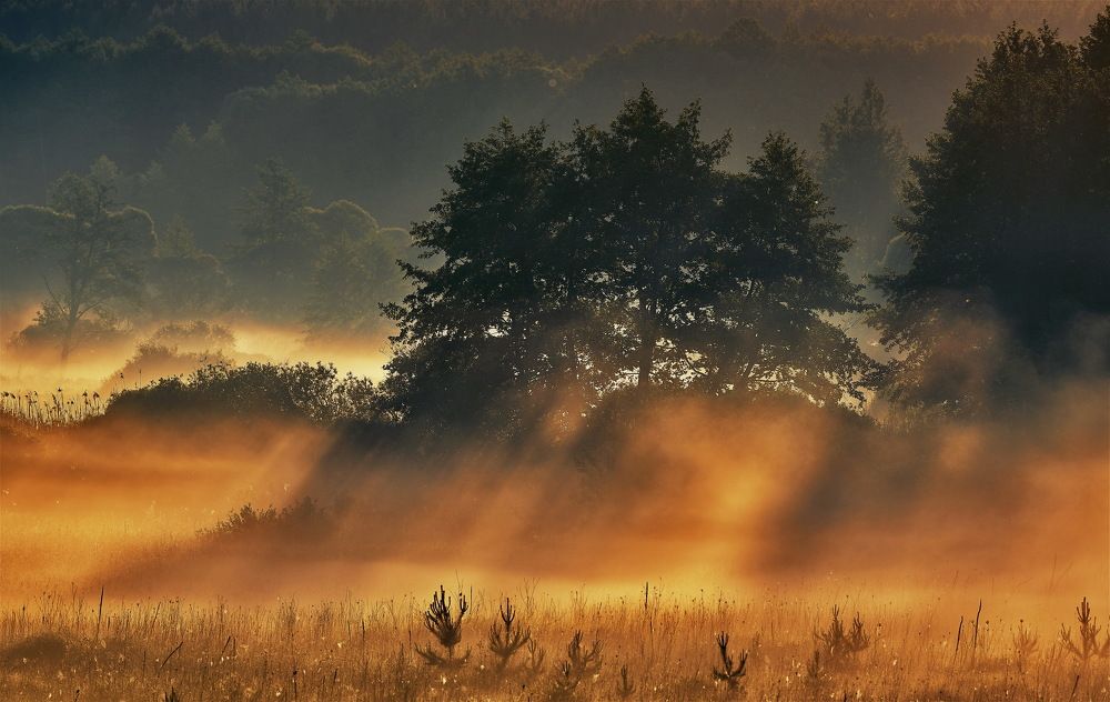 Photograph by Игорь Поддубный