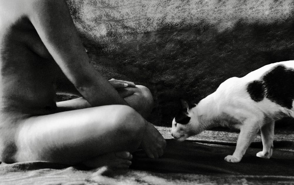 Photograph by Elahe Beigi