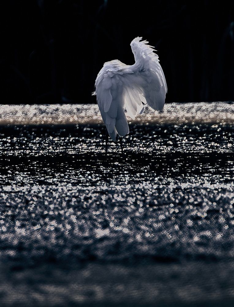 Photograph by Игорь Поддубный