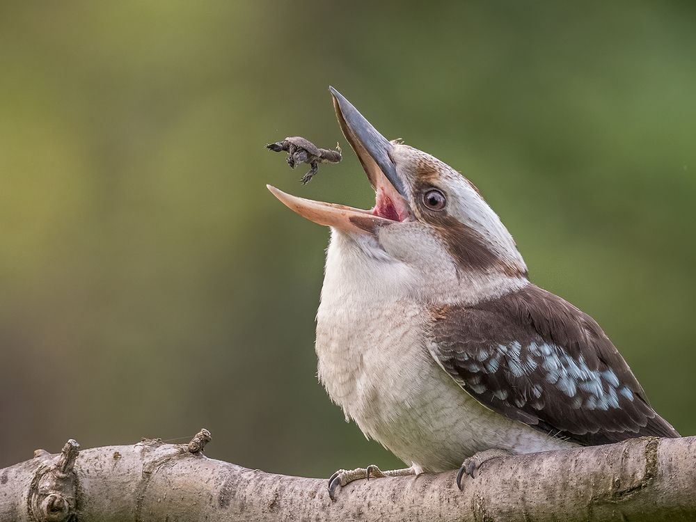 Photograph by Naidu Kumpatla