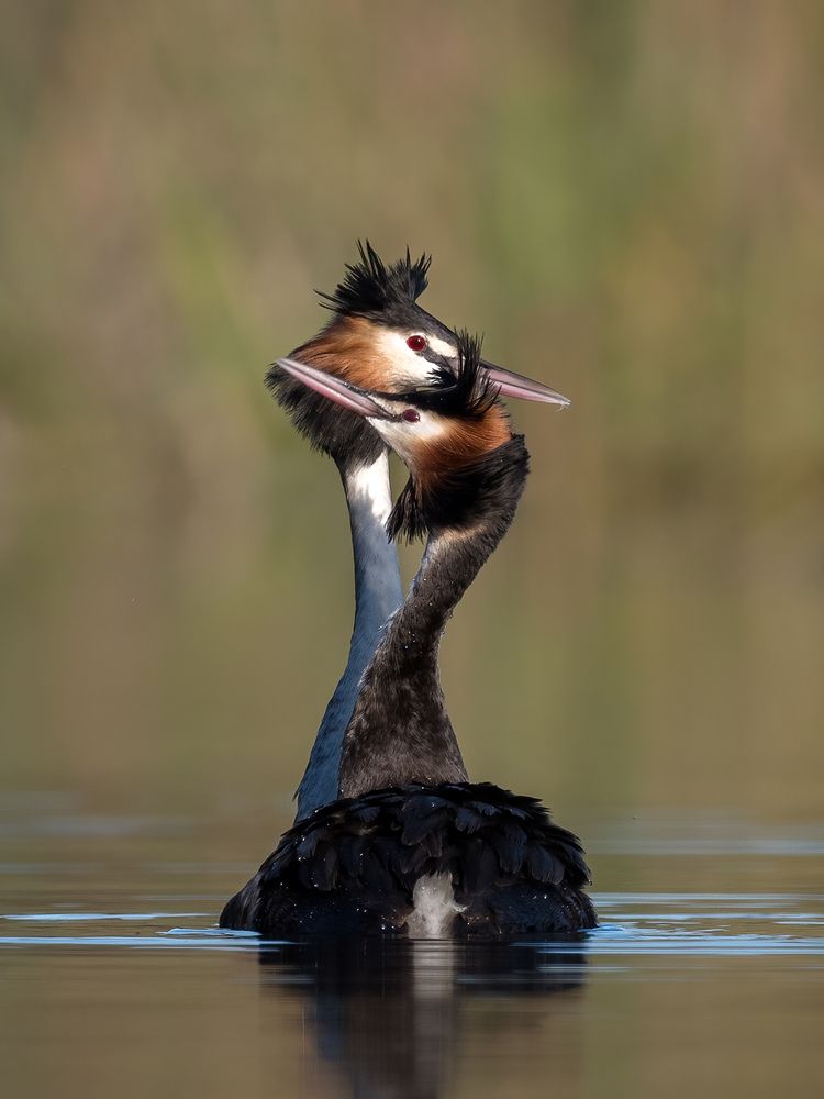 Photograph by Naidu Kumpatla