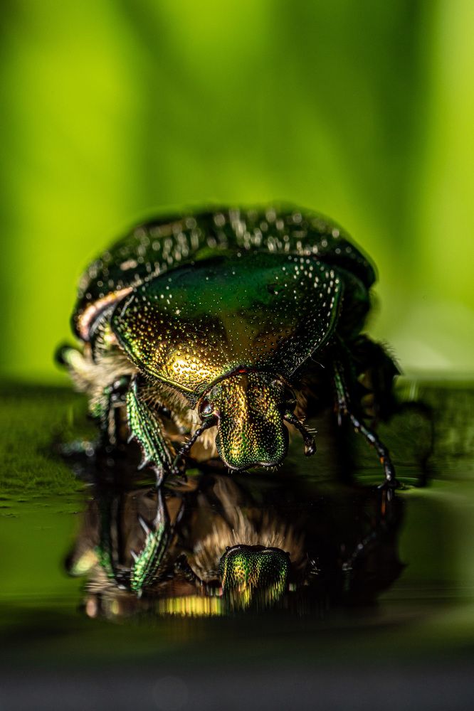 Photograph by Марина Беликова