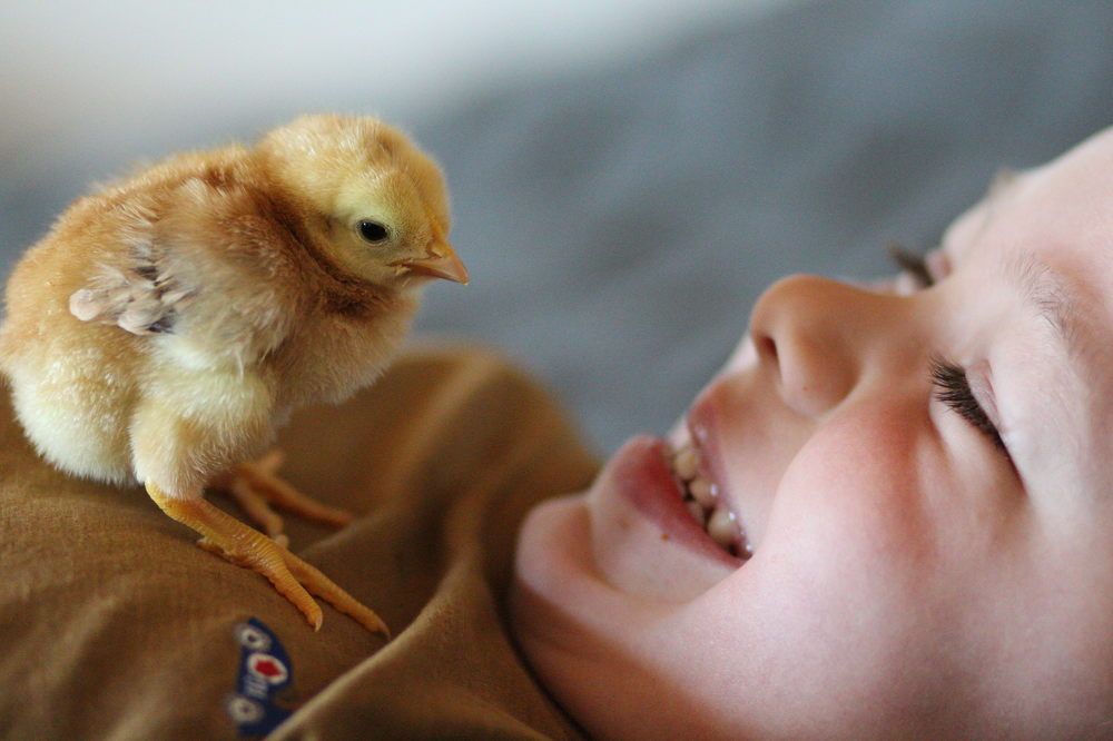 Photograph by Виктория Бурова