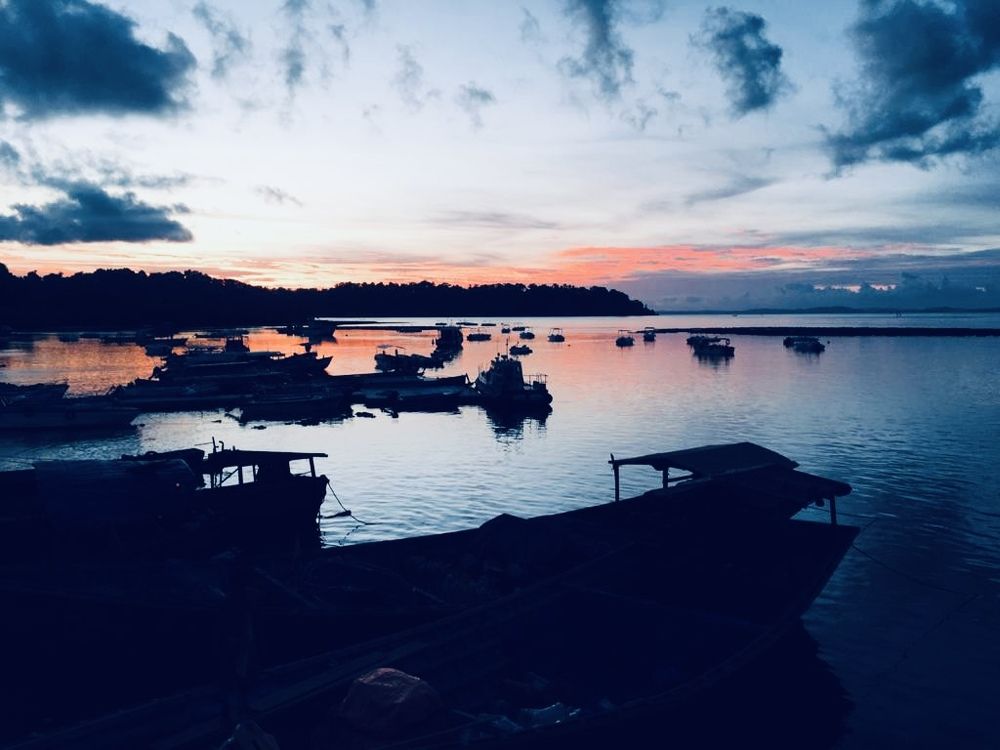 Photograph by Dr.Kaustav Bhowmik