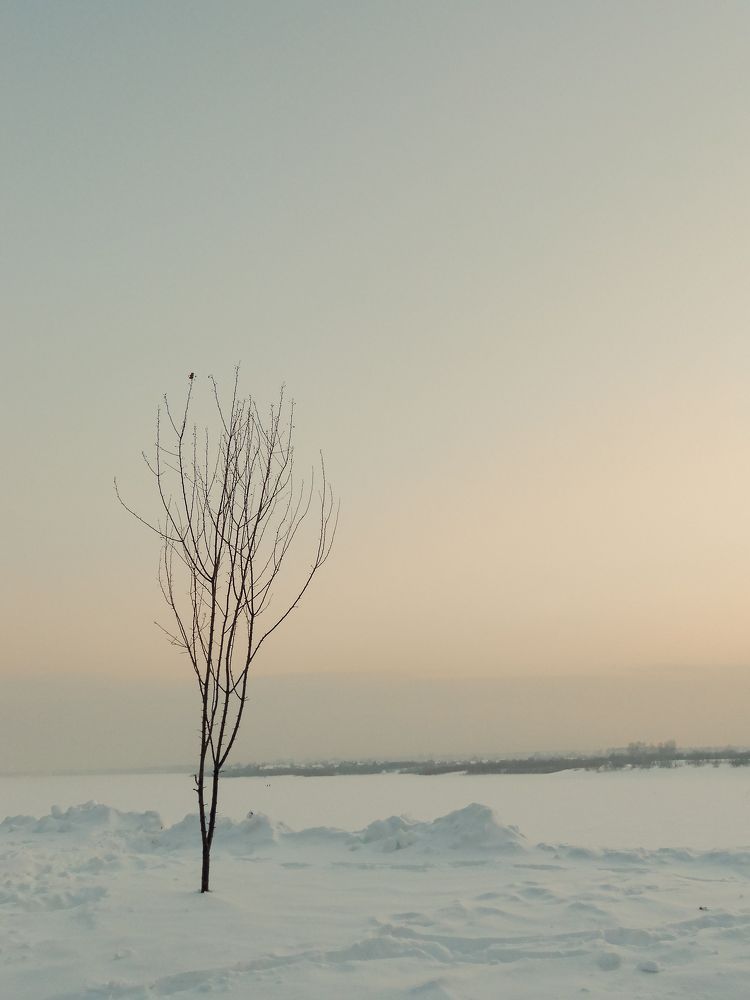Photograph by Анастасия Хованская
