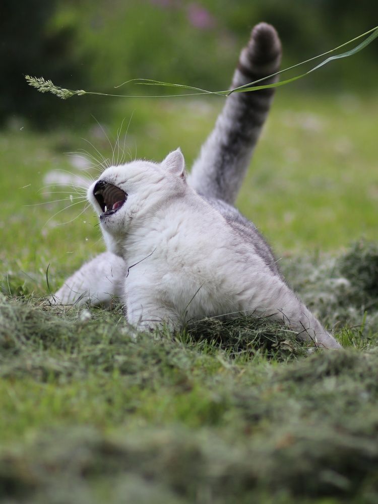 Photograph by Светлана Богомолова