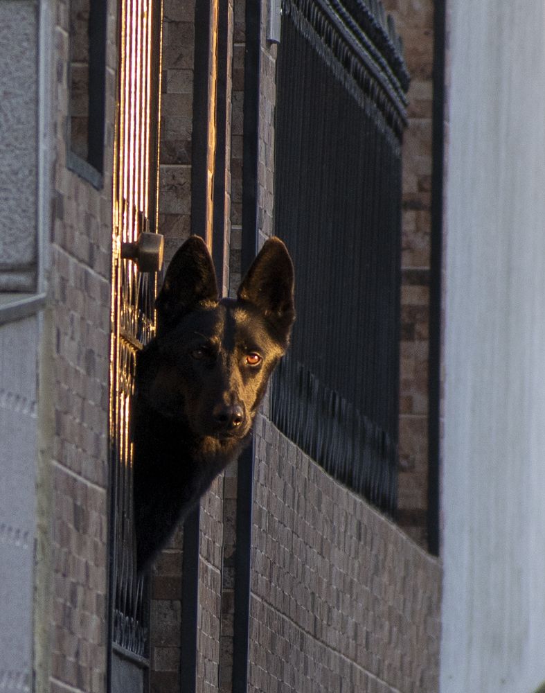 Photograph by Tatiana Zuikova