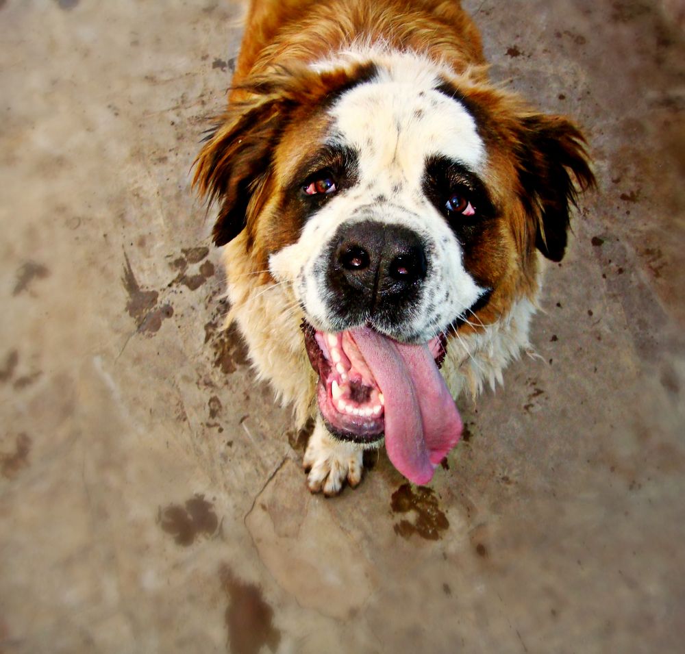 Photograph by Наталья Агаева