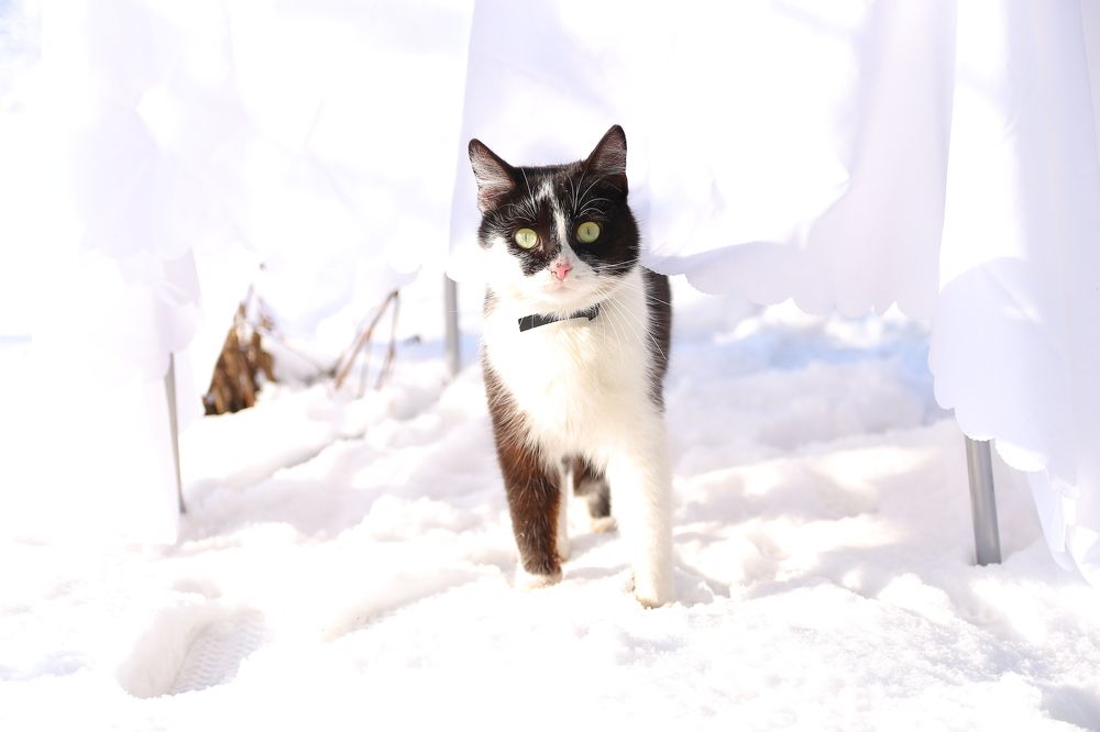 Photograph by Наталья Агаева